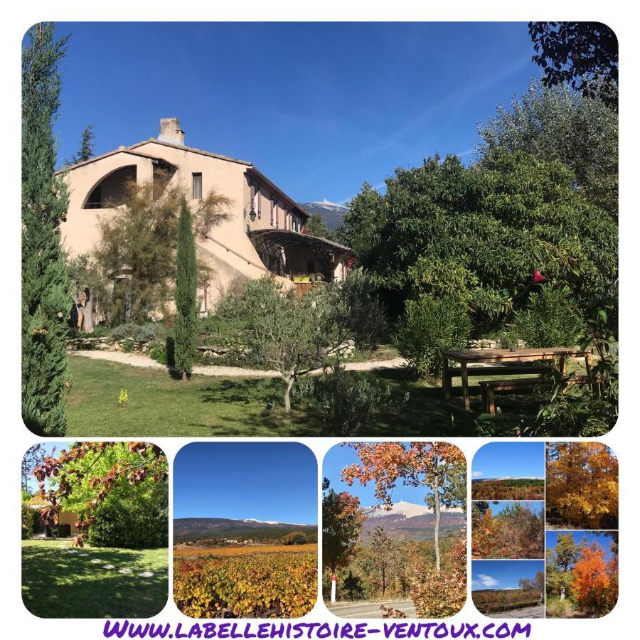 La Belle Histoire Gite Luberon Bédoin Exteriör bild