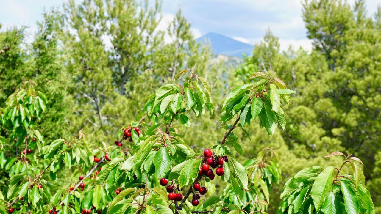 La Belle Histoire Gite Luberon Lägenhet Bédoin Exteriör bild